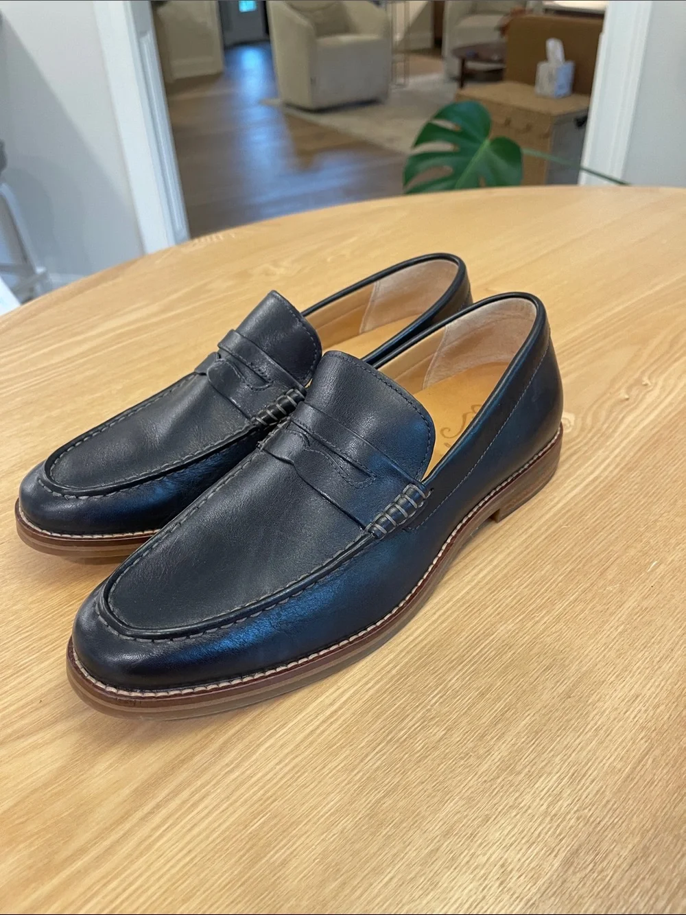Sperry description premium